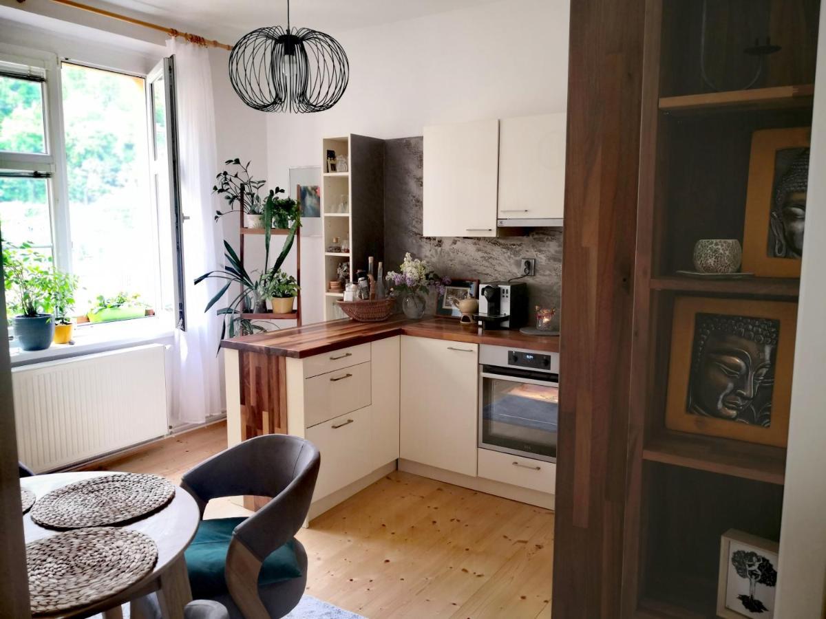 Apartmany Ivana Дечин Екстер'єр фото